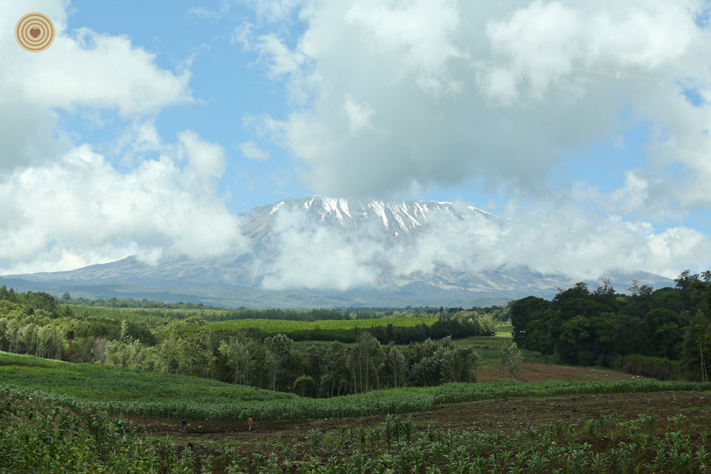 Mount. Kilimanjaro