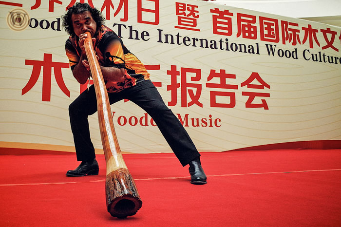 music, 2014 World Wood Day