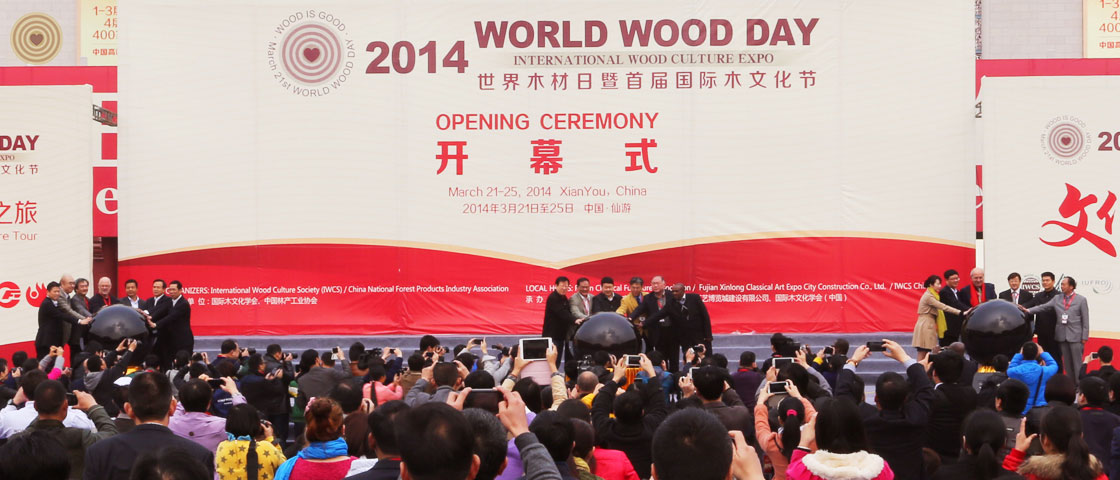 opening ceremony, 2014 World Wood Day