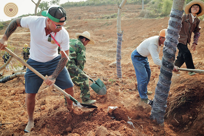 tree planting, 2014 World Wood Day