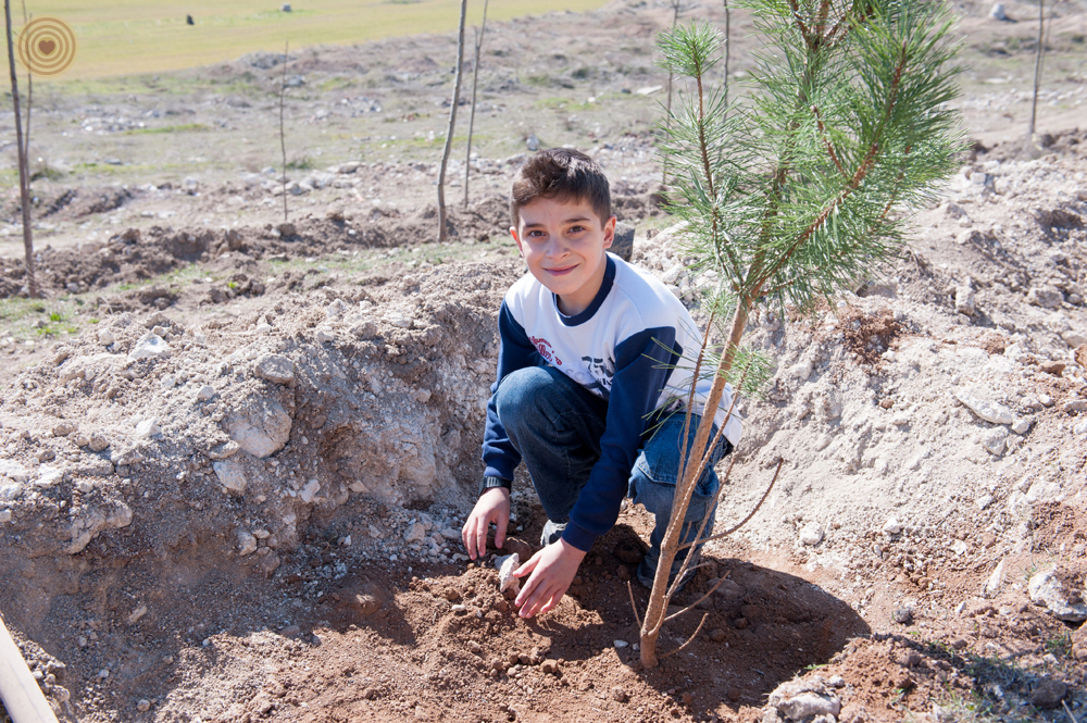 2015 WWD, tree planting