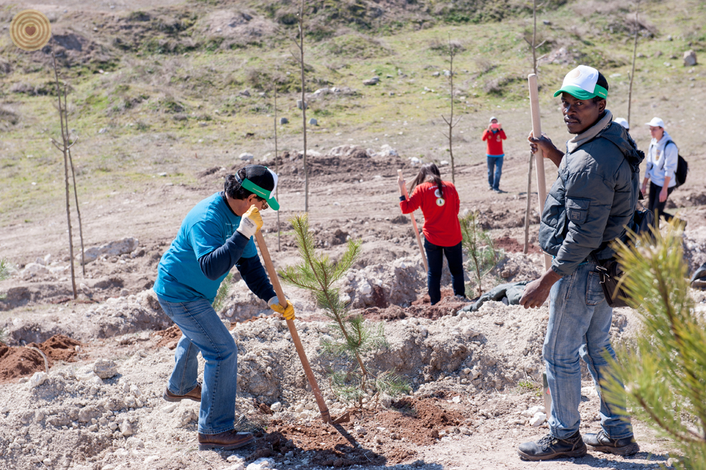 2015 WWD, tree planting