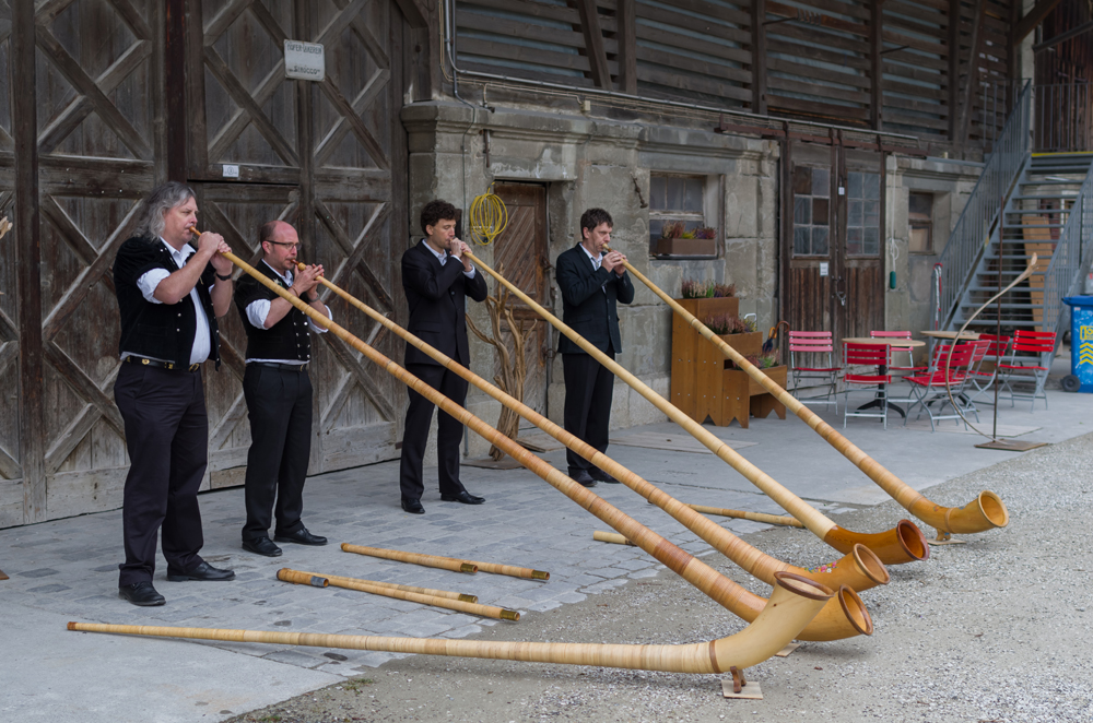 2015 WWD, regional event, Switzerland, wooden instruments, music
