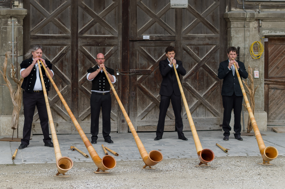 2015 WWD, regional event, Switzerland, wooden instruments, music