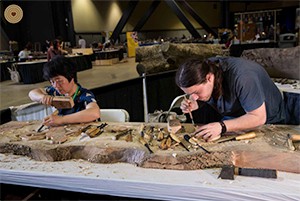 Woodcarving Show - Flying and Listening