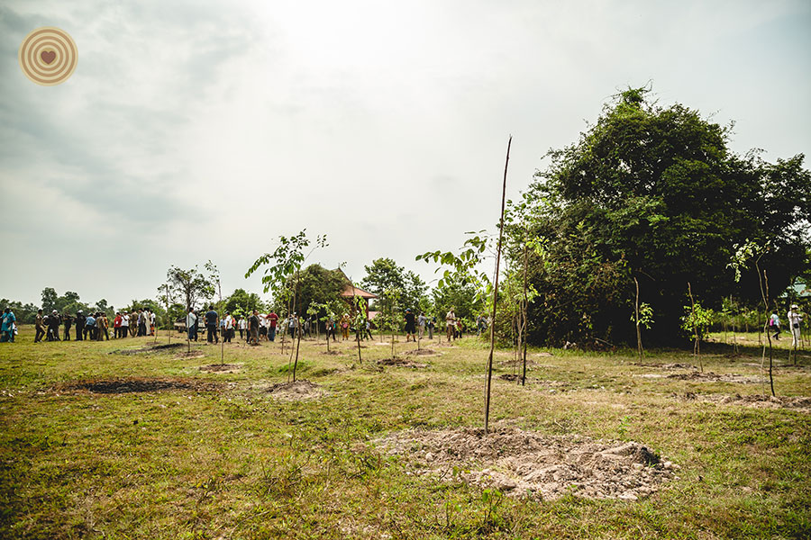 tree planting