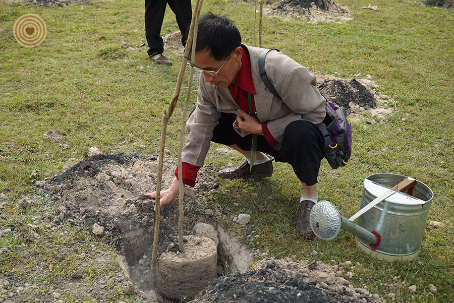 tree planting