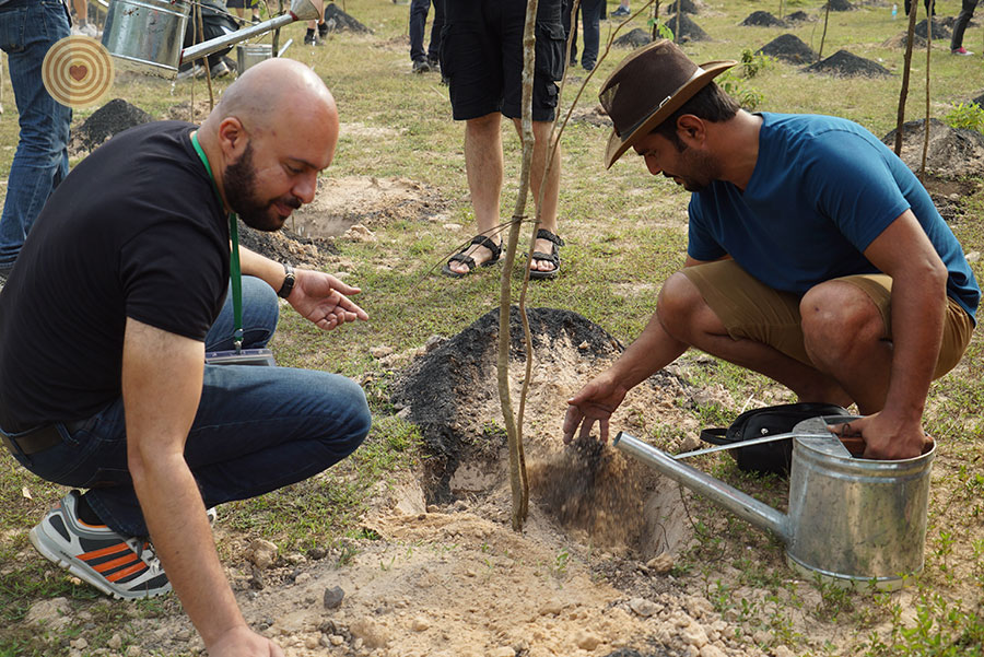 tree planting
