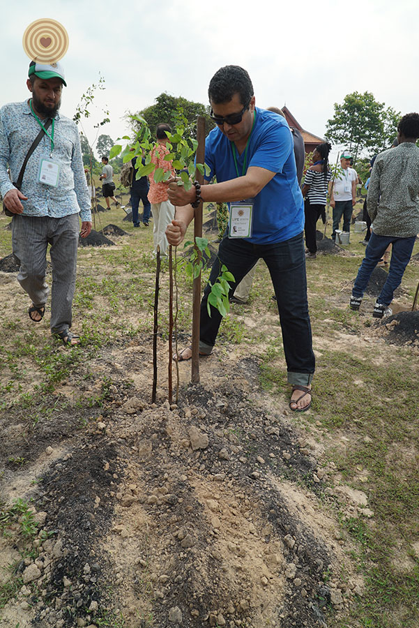 tree planting