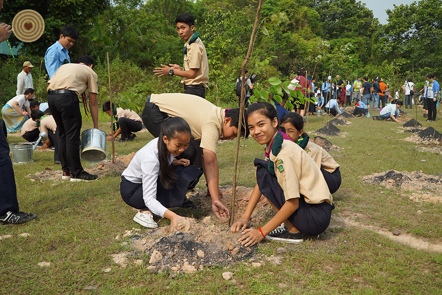 tree planting
