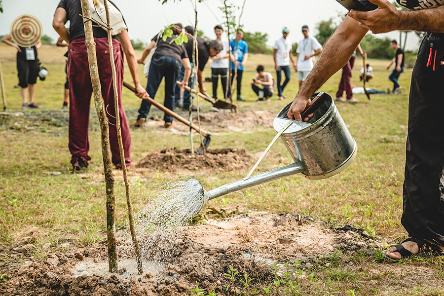 tree planting