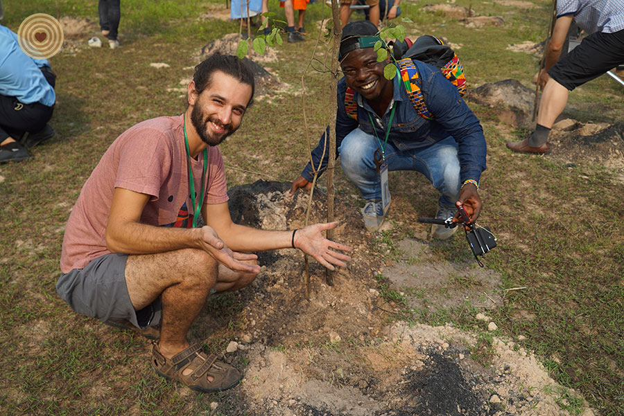tree planting