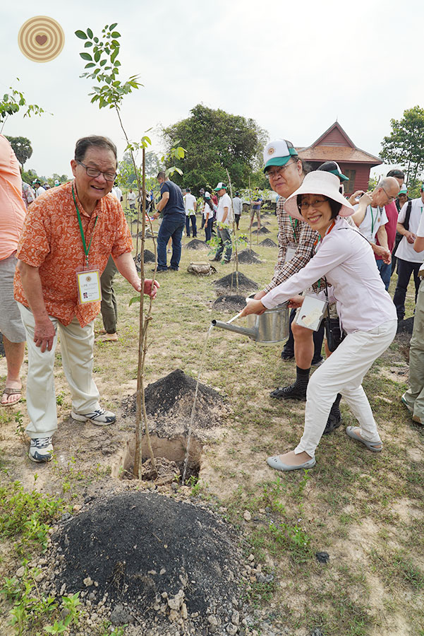 tree planting