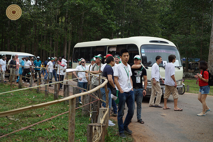 tree planting