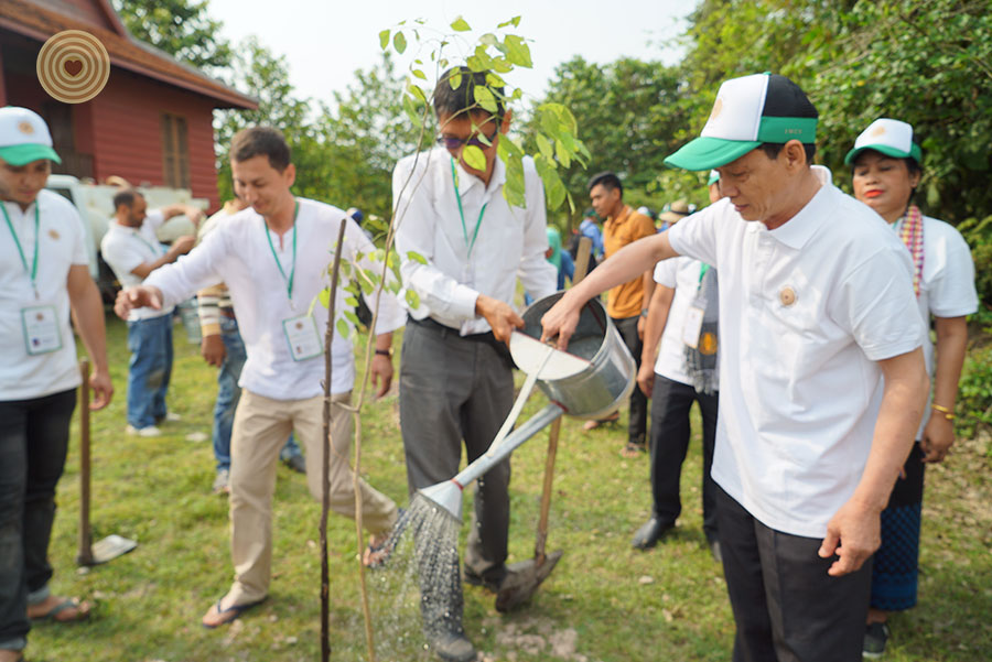 tree planting