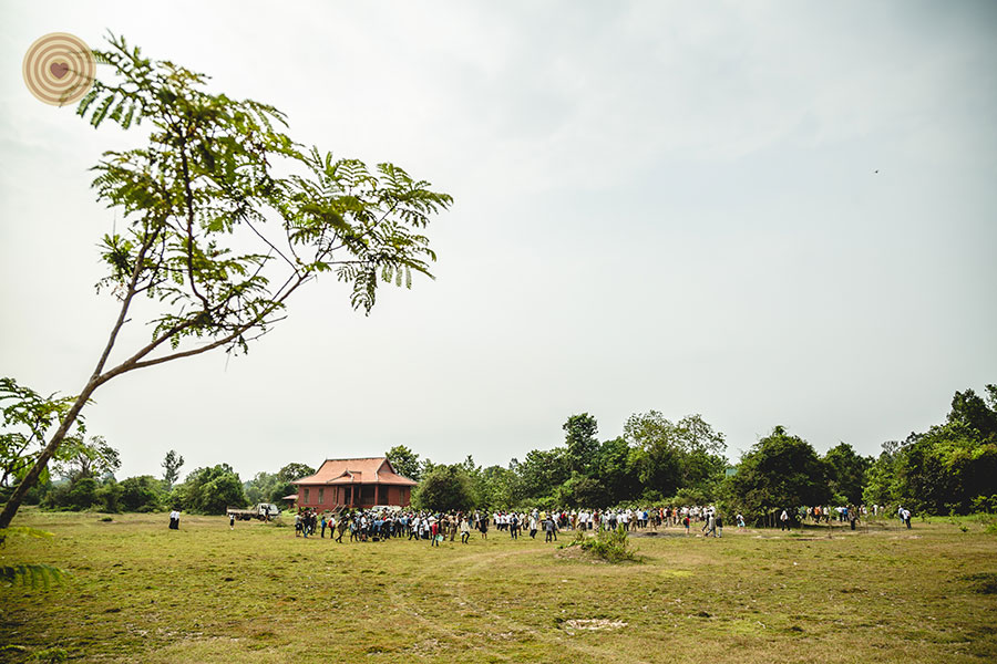 tree planting
