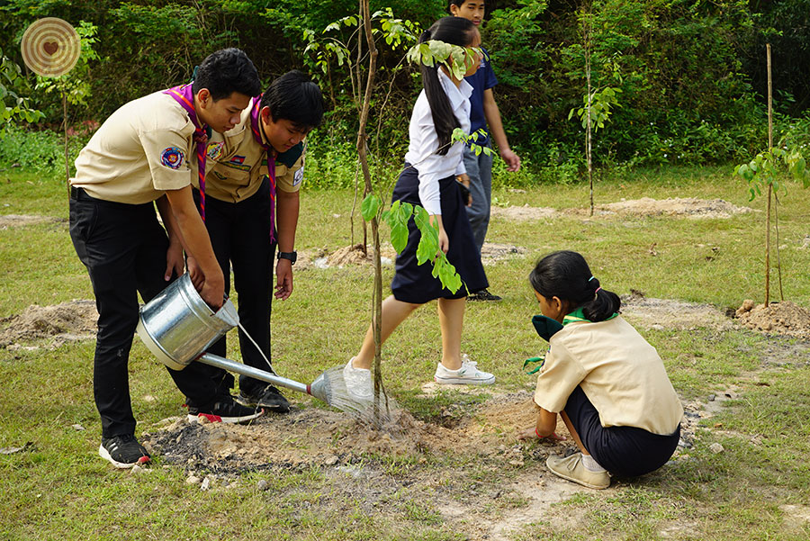 tree planting