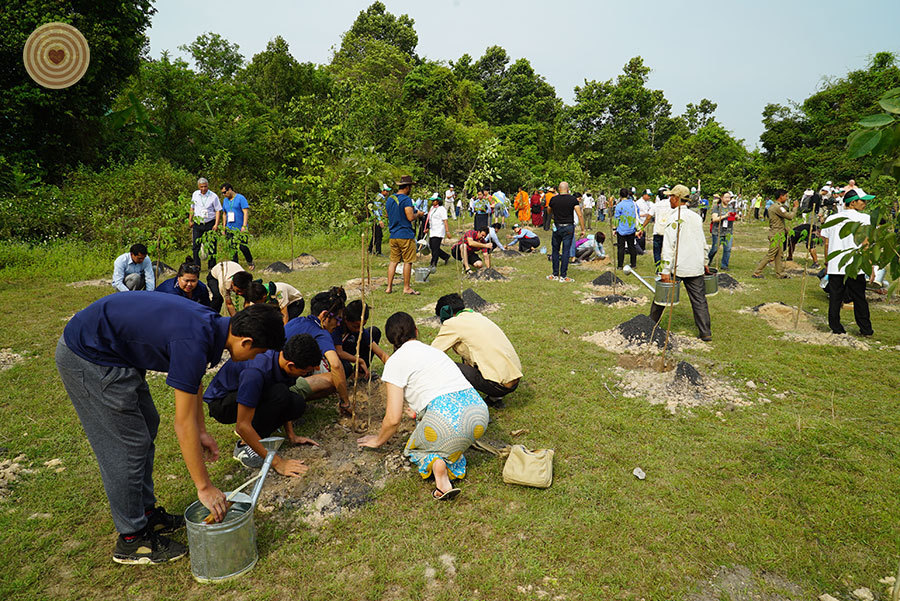 tree planting