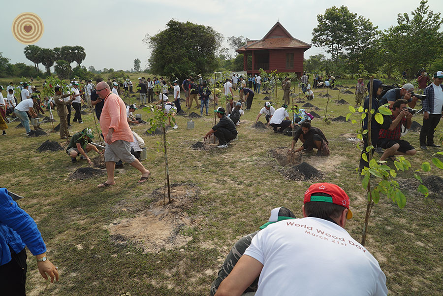 tree planting