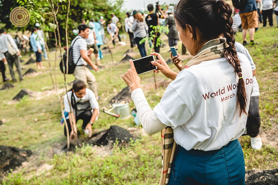 tree planting