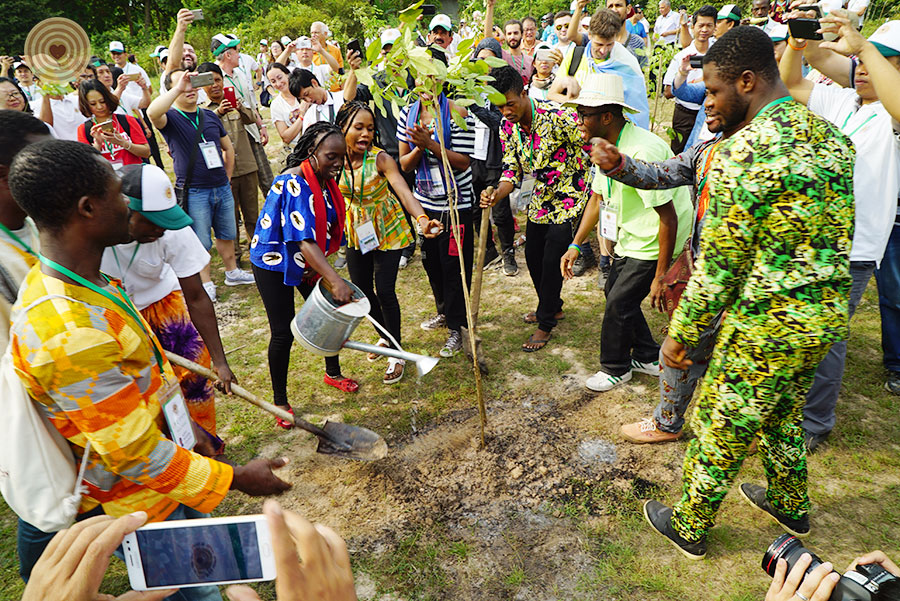 tree planting