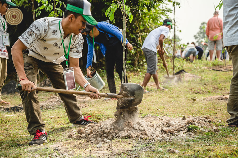 tree planting
