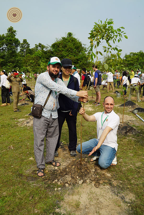 tree planting