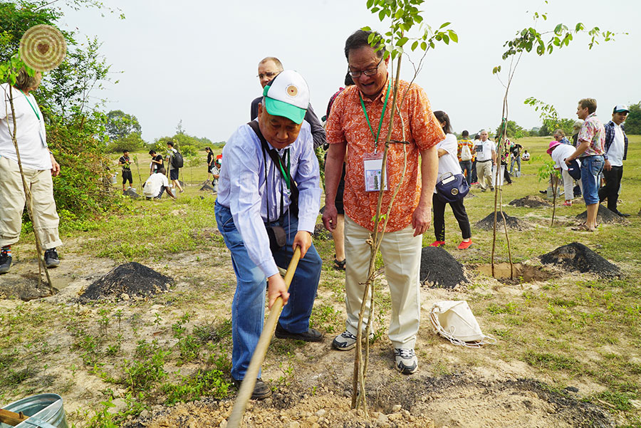 tree planting