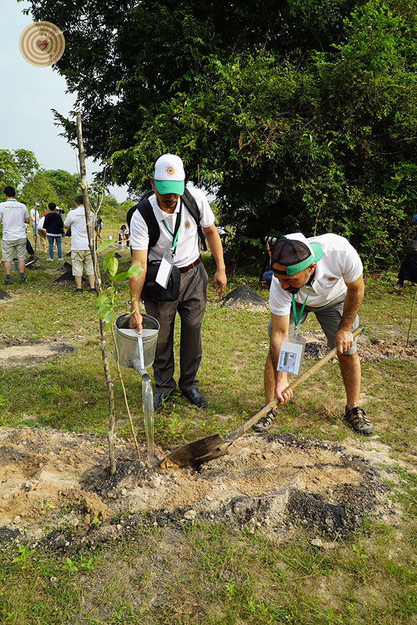 tree planting