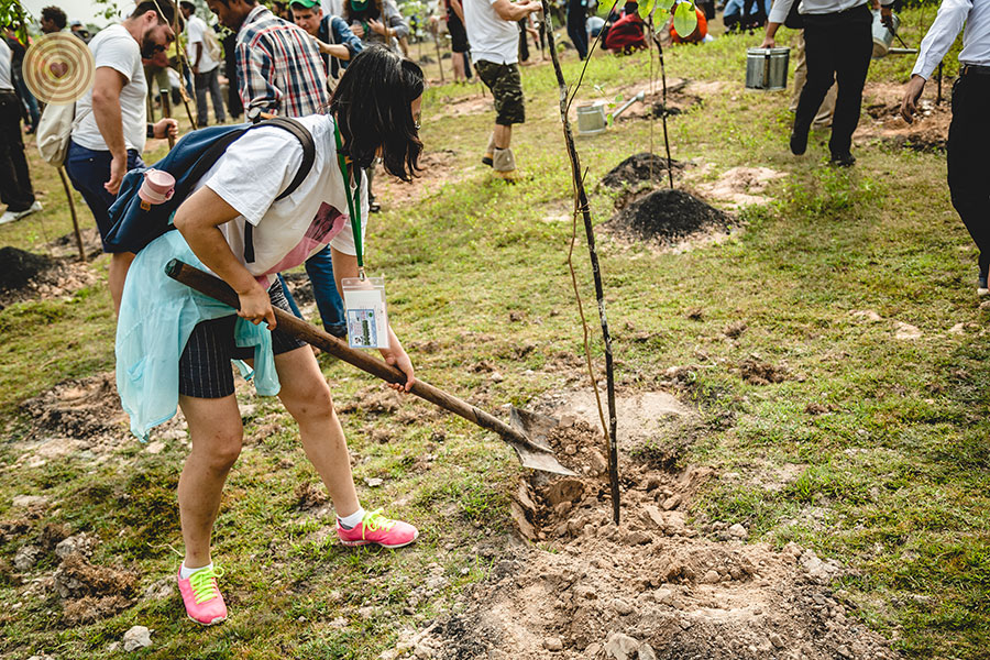 tree planting
