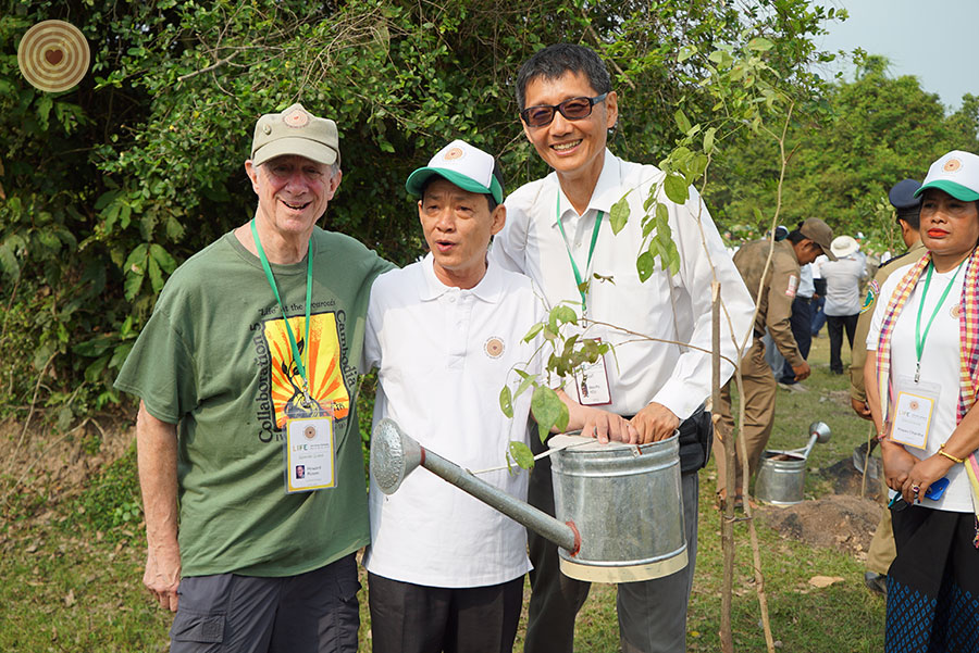tree planting