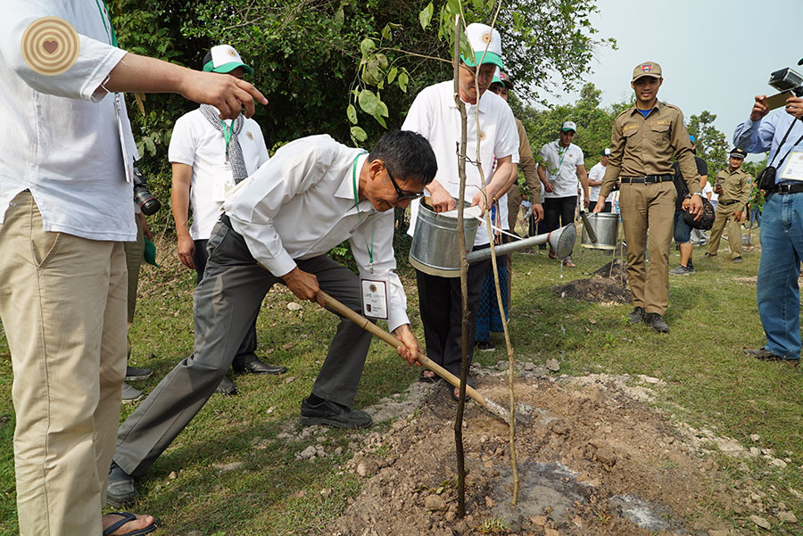 tree planting