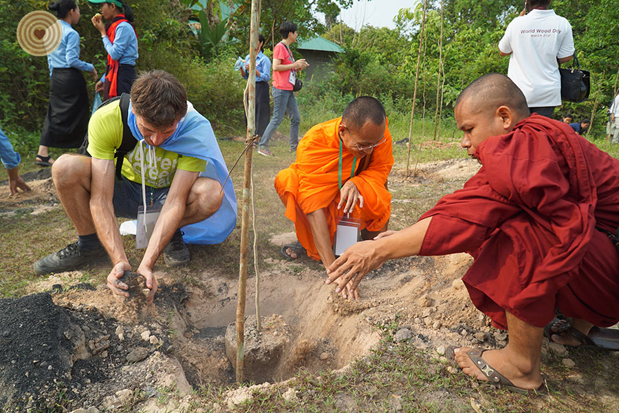 tree planting