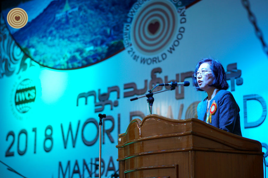 Opening Ceremony, 2018 World Wood Day, Myanmar