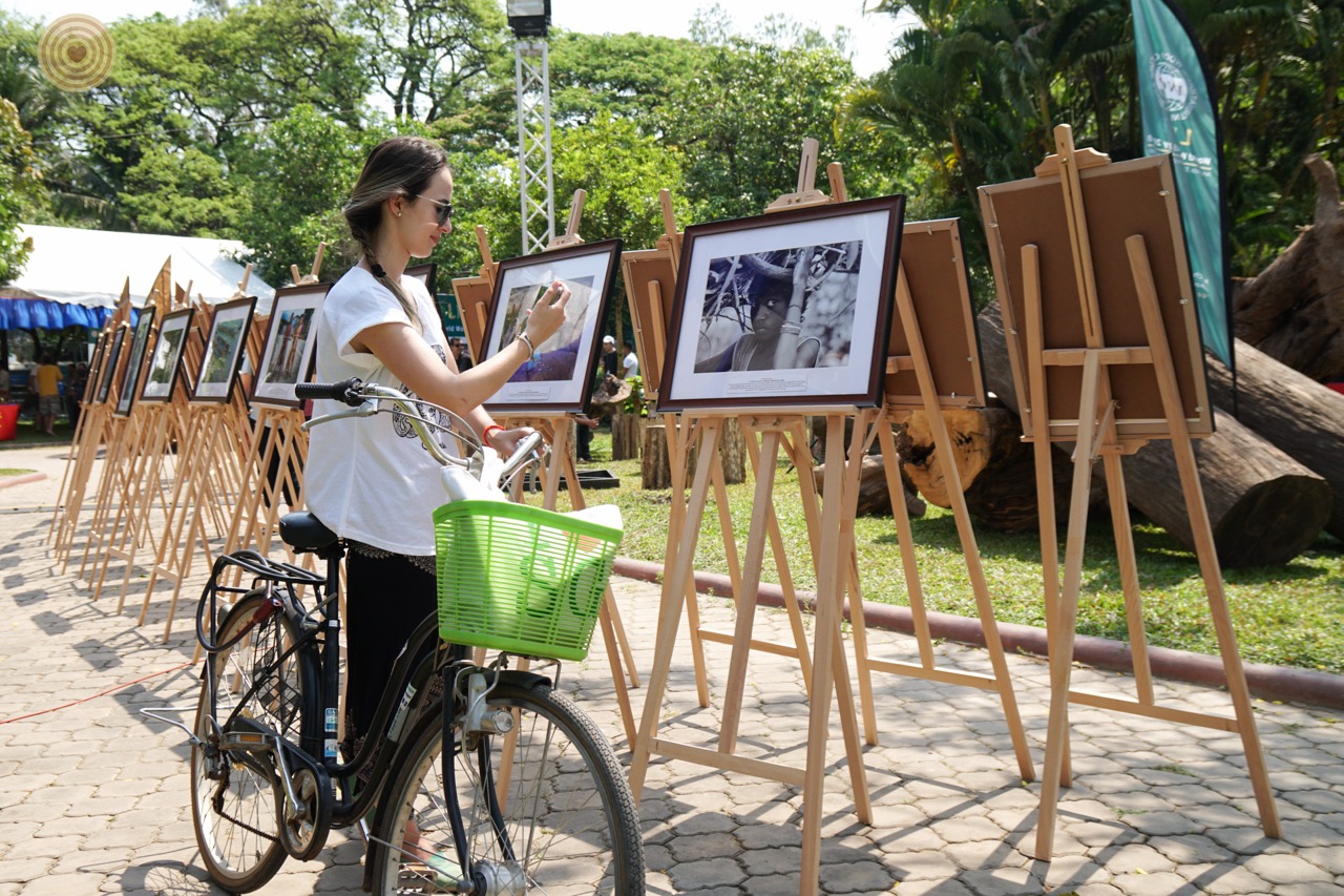 World Wood Day, Wood & Life, Photo Contest