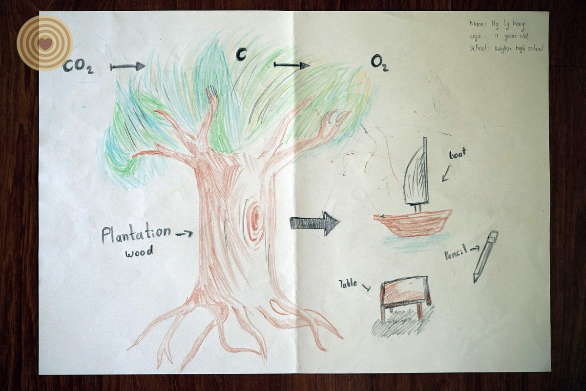 children, WWD, tree
