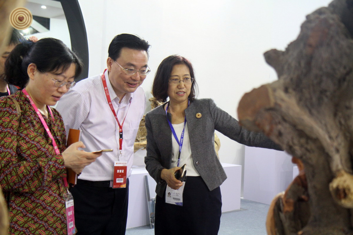 woodcarving, root, Yiwu, Zhejiang