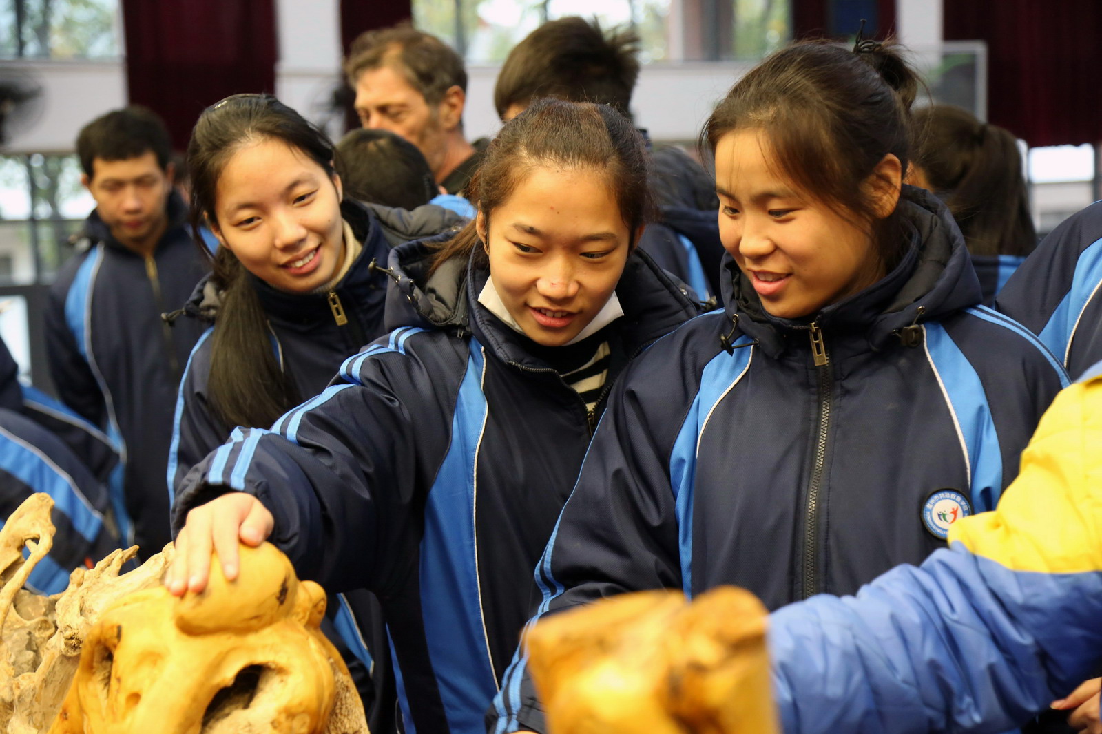 woodcarving show