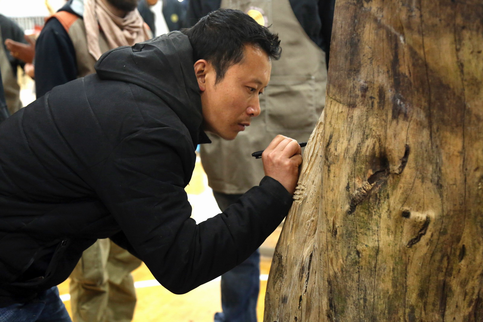 woodcarving show
