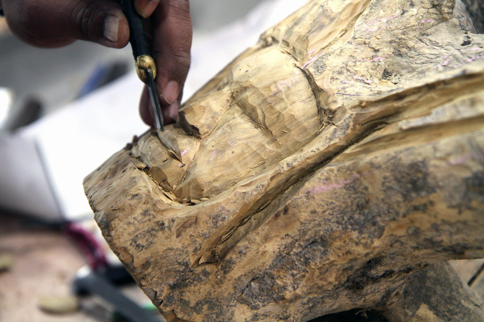 woodcarving show