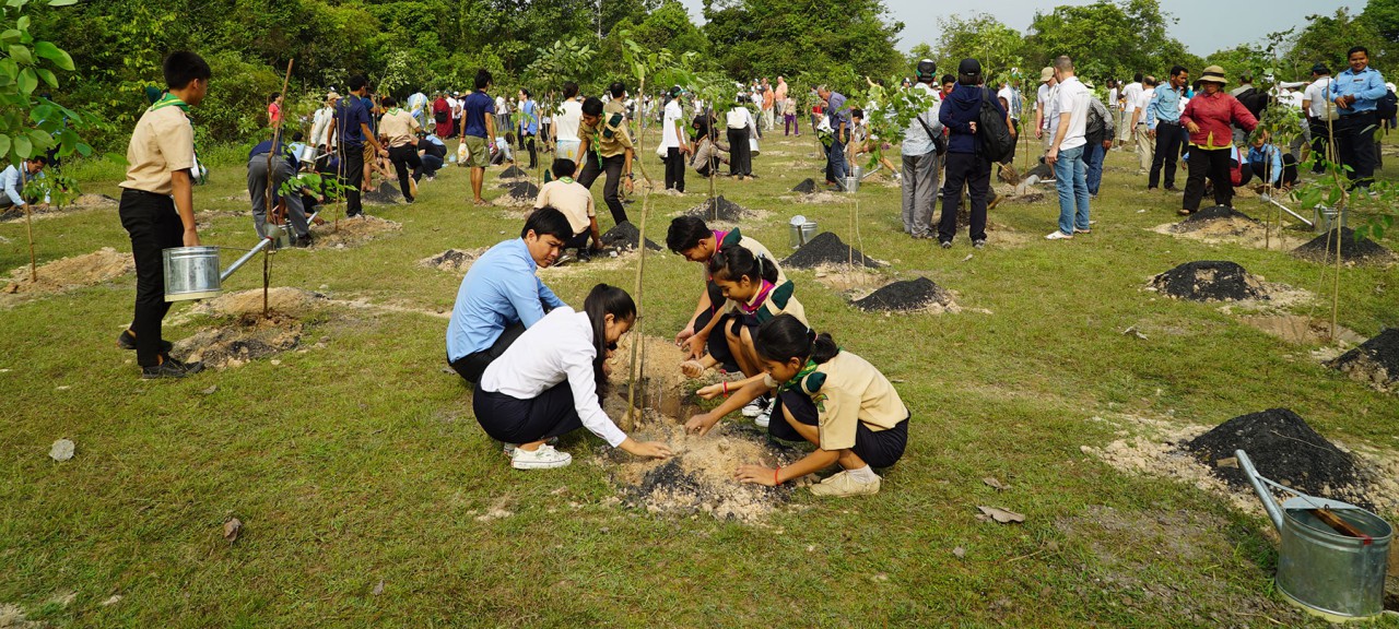 treeplanting