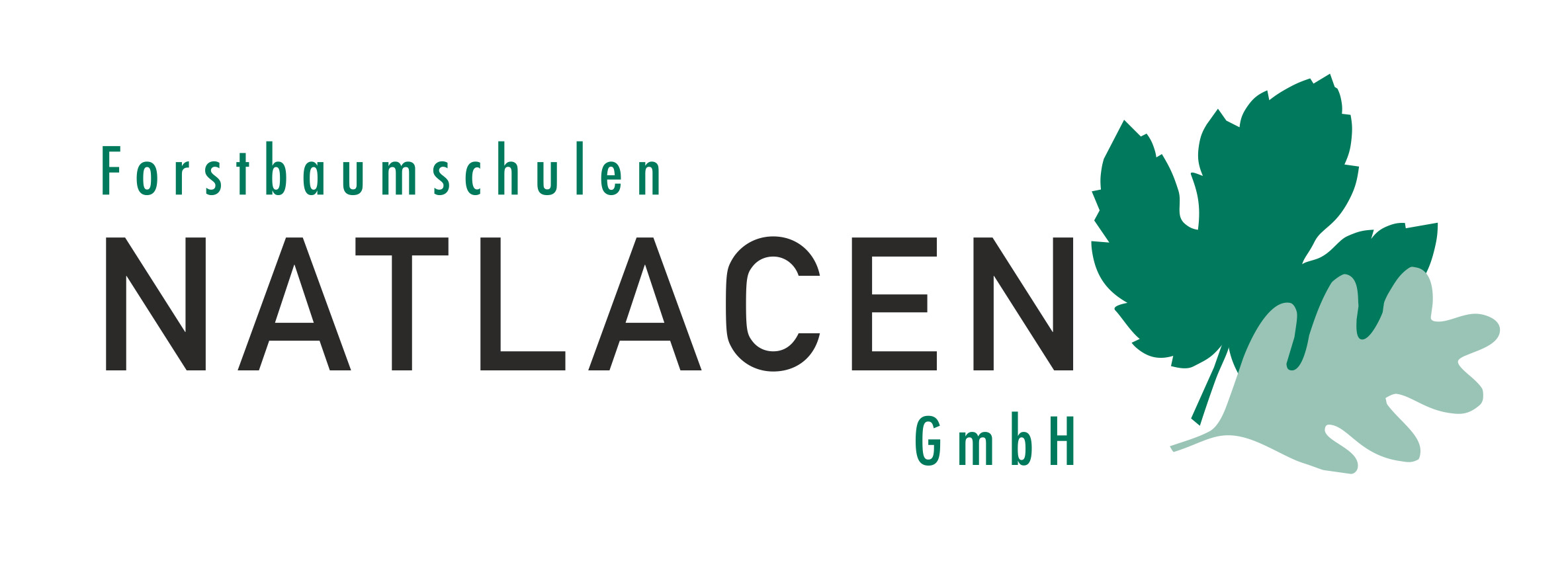 Forstbaumschulen Natlacen Gmbh