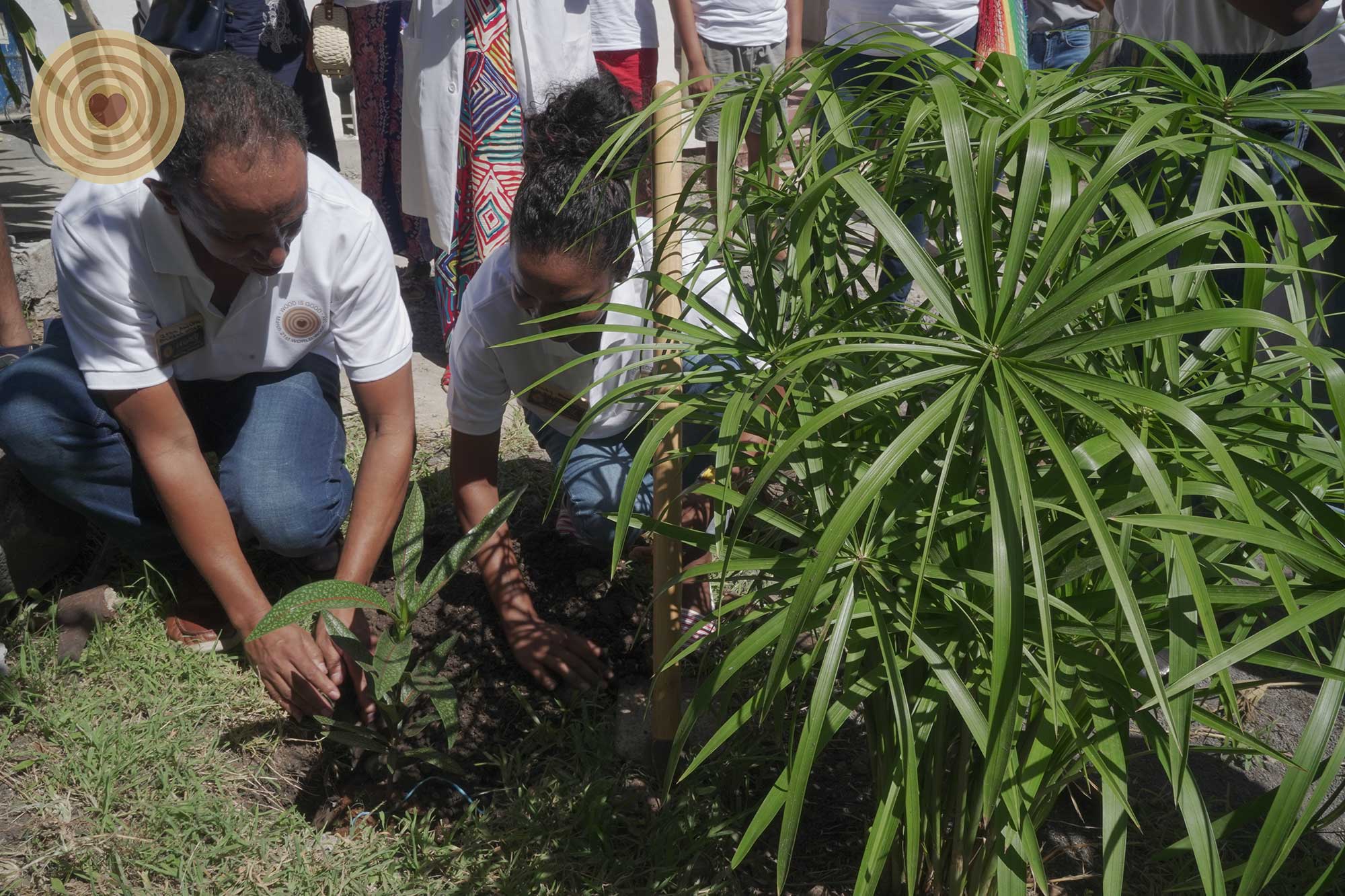 2020 WWD, regional event, Mauritius, Tree Planting
