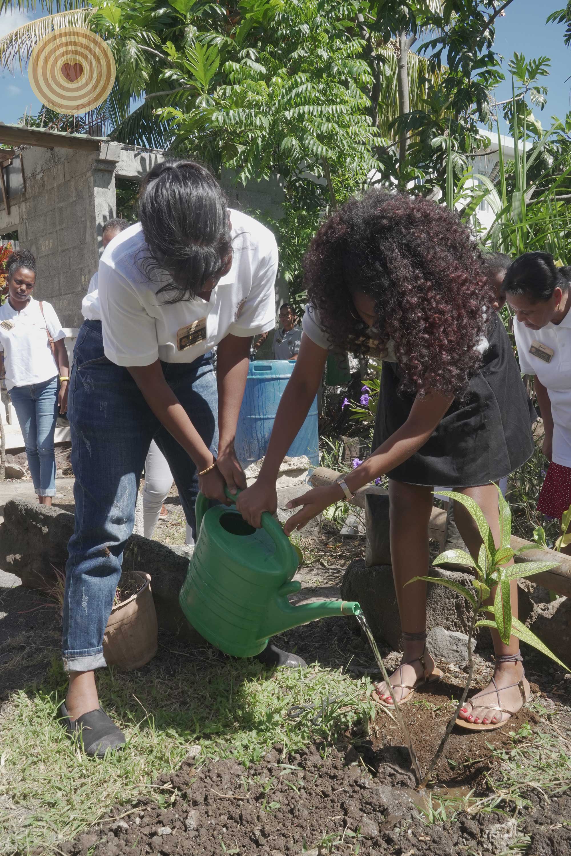 2020 WWD, regional event, Mauritius, Tree Planting
