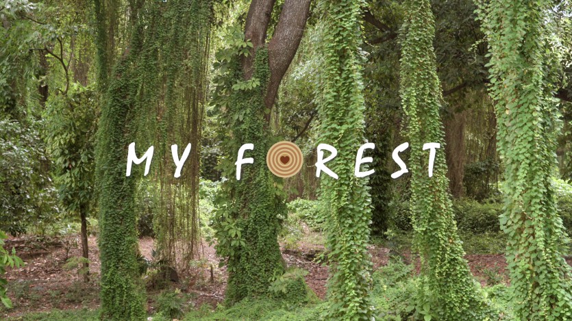 WWD 2021 Music of Wood - My Forest (Promo)