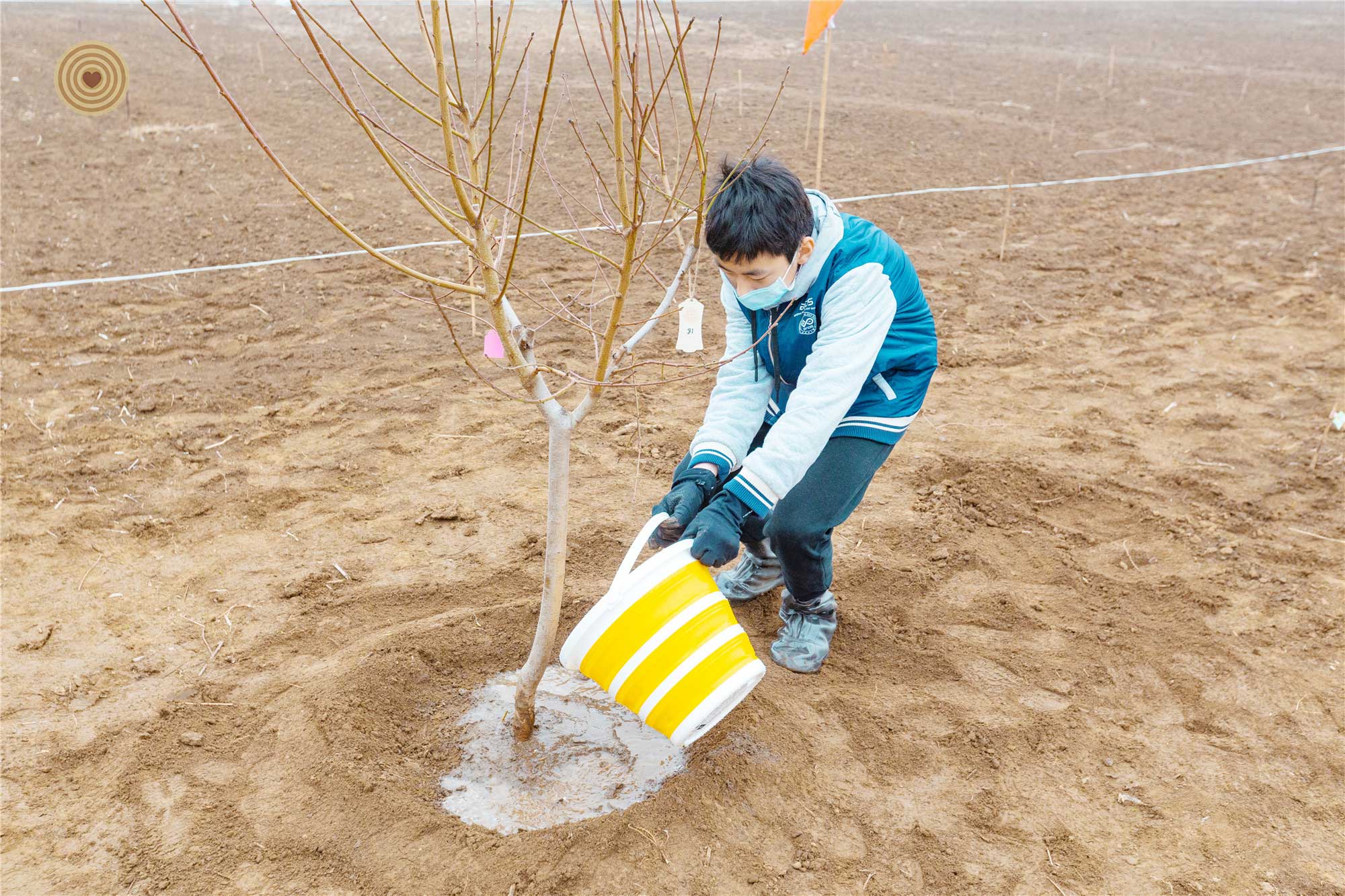 WWD 2021, Tree Planting, China