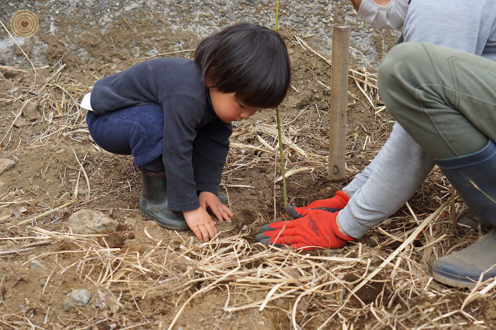 WWD2021, tree planting, Yamanashi Prefecture