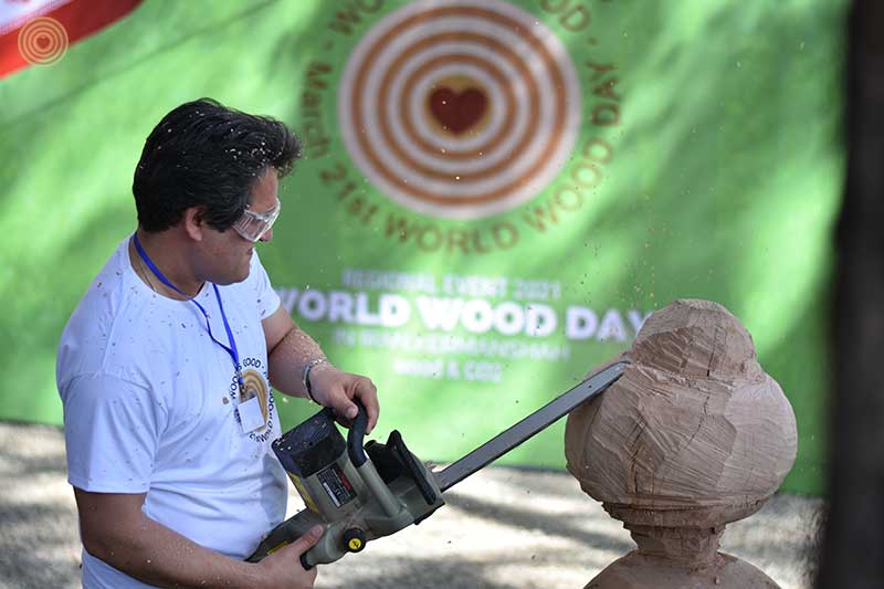 Regional Event, Iran, World Wood Day 2021, Woodcraft, Wooden Music