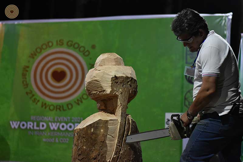 Regional Event, Iran, World Wood Day 2021, Woodcraft, Wooden Music
