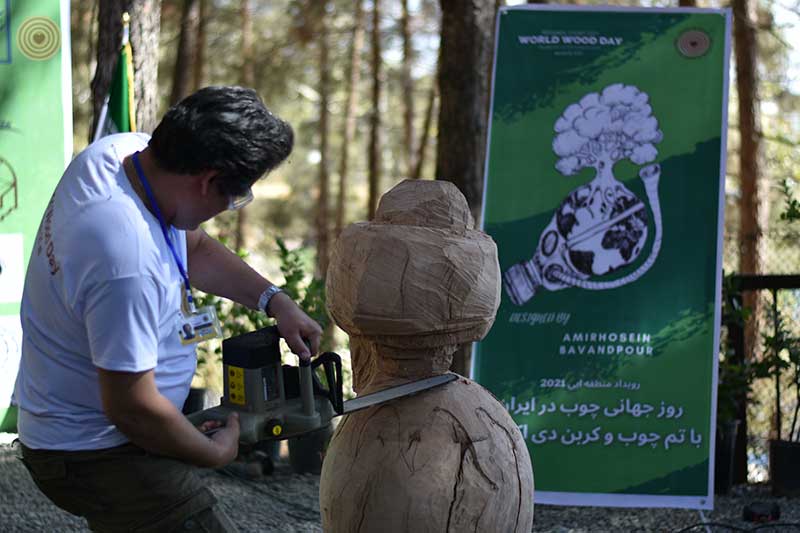 Regional Event, Iran, World Wood Day 2021, Woodcraft, Wooden Music